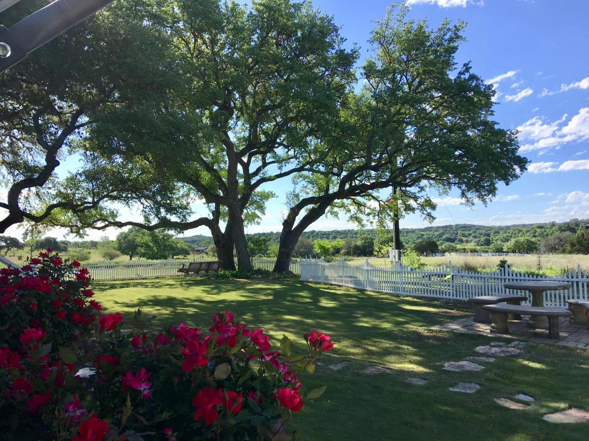 The Alexander At Creek Road Hotel Dripping Springs Exterior foto